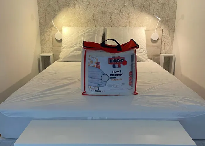 T1 Bis Renove Et Cosy A Cote Des Thermes Et De L'etang De Thau Appartement Balaruc-les-Bains