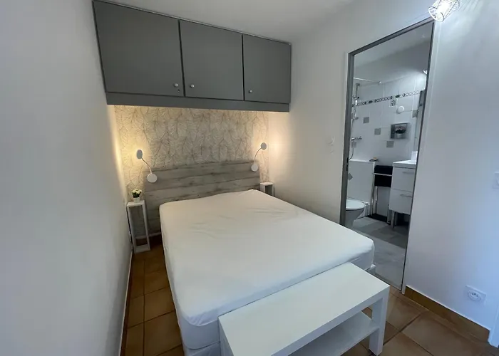 T1 Bis Renove Et Cosy A Cote Des Thermes Et De L'etang De Thau
