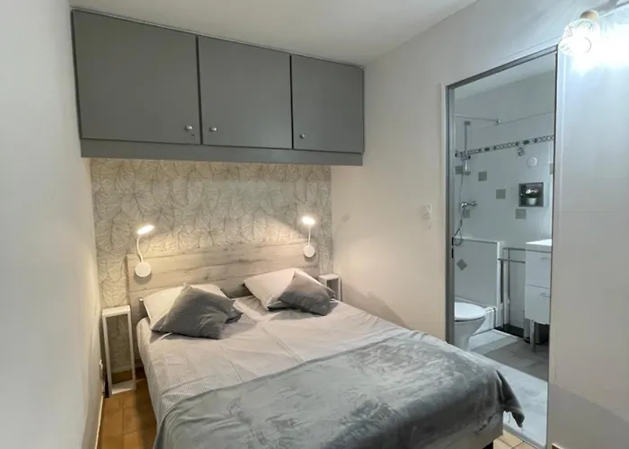 Appartement T1 Bis Renove Et Cosy A Cote Des Thermes Et De L'etang De Thau *