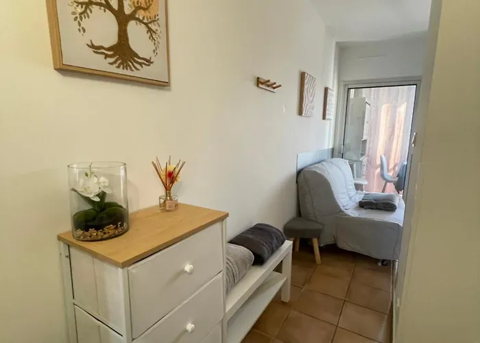 T1 Bis Renove Et Cosy A Cote Des Thermes Et De L'etang De Thau *