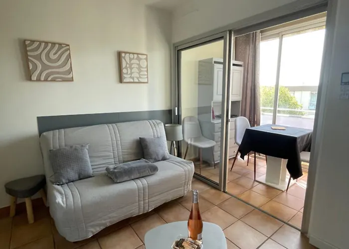 T1 Bis Renove Et Cosy A Cote Des Thermes Et De L'etang De Thau * Balaruc-les-Bains